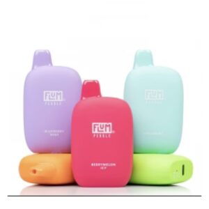 Flum Pebble Rechargeable Disposable 6000 Puffs
