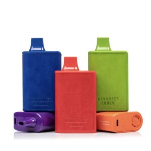 Horizontech Binaries Cabin Disposable (10,000 Puffs)