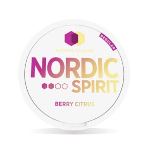 NORDIC SPIRIT NICOTINE POUCHES