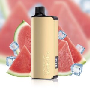 ALIBARBAR INGOT WATERMELON ICE 9000 PUFFS