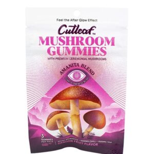 Dragon Fruit Cutleaf Mushroom Gummies Amanita Blend 500mg