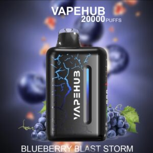 VAPEHUB BLUEBERRY BLAST STORM – 20000 PUFFS