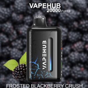 VAPEHUB FROSTED BLACKBERRY CRUSH – 20000 PUFFS